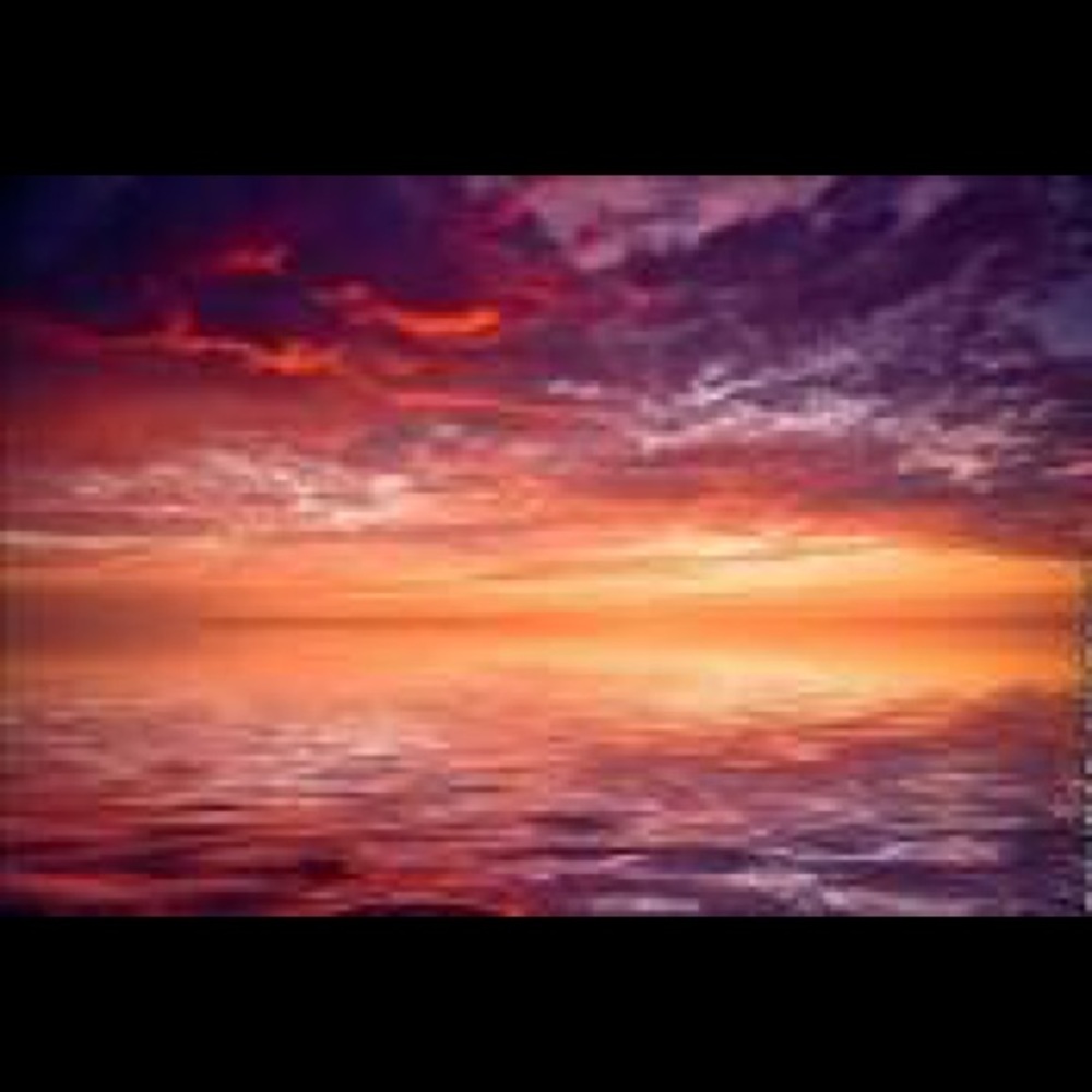 Meet your Posher, Annarosa